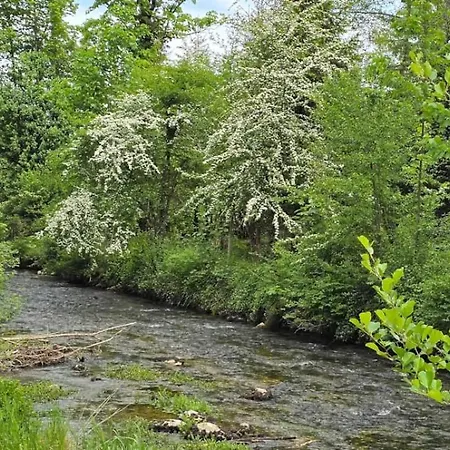 In An Authentic Water Mill * Condamine (Ain)